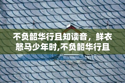 不负韶华行且知读音，鲜衣怒马少年时,不负韶华行且知下一句