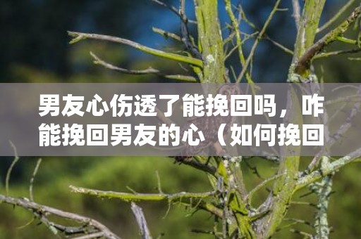 男友心伤透了能挽回吗，咋能挽回男友的心（如何挽回男朋友的心,这三招让他回心转意!）