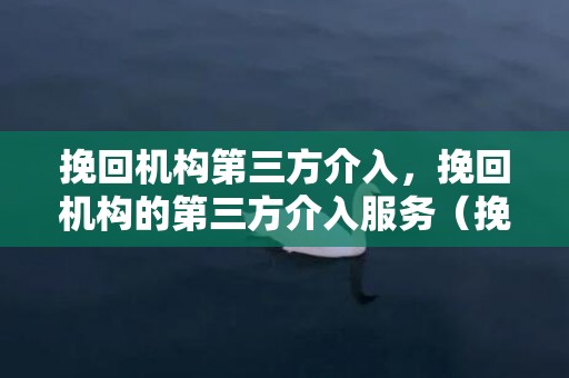 挽回机构第三方介入，挽回机构的第三方介入服务（挽回机构的挽回流程）