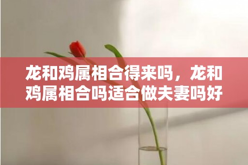 龙和鸡属相合得来吗，龙和鸡属相合吗适合做夫妻吗好吗