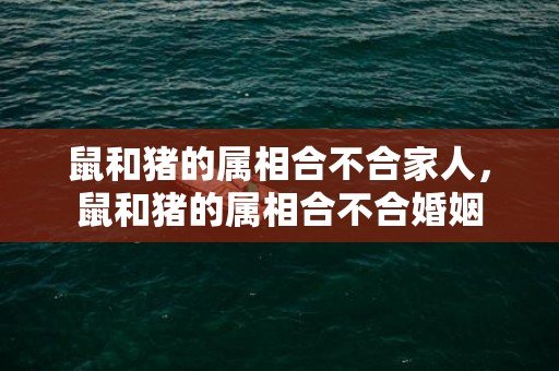 鼠和猪的属相合不合家人，鼠和猪的属相合不合婚姻
