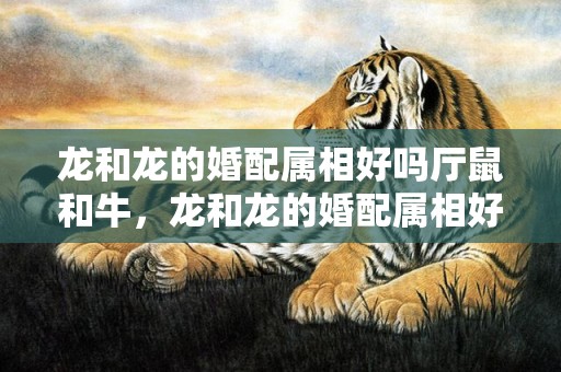 龙和龙的婚配属相好吗厅鼠和牛，龙和龙的婚配属相好吗