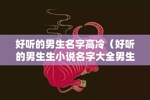 好听的男生名字高冷（好听的男生生小说名字大全男生小说名字大全现代可爱）
