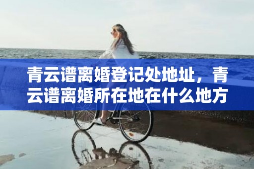青云谱离婚登记处地址，青云谱离婚所在地在什么地方