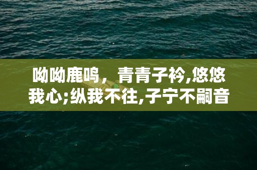 呦呦鹿鸣，青青子衿,悠悠我心;纵我不往,子宁不嗣音