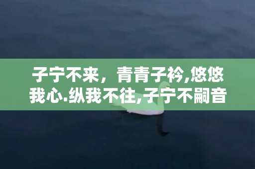 子宁不来，青青子衿,悠悠我心.纵我不往,子宁不嗣音朗读