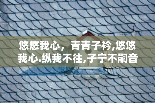 悠悠我心，青青子衿,悠悠我心.纵我不往,子宁不嗣音拼音