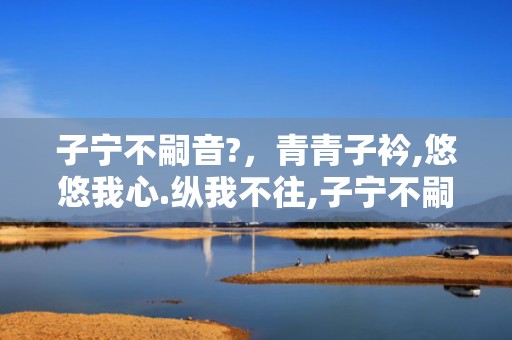 子宁不嗣音?，青青子衿,悠悠我心.纵我不往,子宁不嗣音怎么读