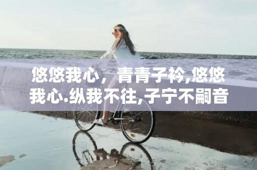 悠悠我心，青青子衿,悠悠我心.纵我不往,子宁不嗣音出自诗经