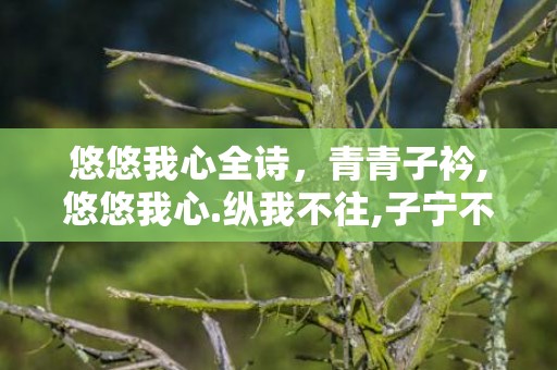 悠悠我心全诗，青青子衿,悠悠我心.纵我不往,子宁不嗣音