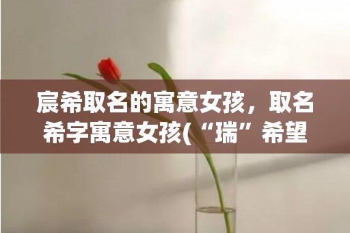 宸希取名的寓意女孩，取名希字寓意女孩(“瑞”希望如愿，命运“洪”福齐天)