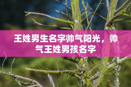 王姓男生名字帅气阳光，帅气王姓男孩名字