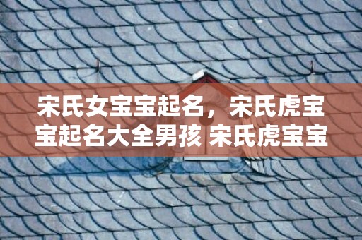 宋氏女宝宝起名，宋氏虎宝宝起名大全男孩 宋氏虎宝宝起名大全男孩：绝佳中文男宝宝名字推荐！