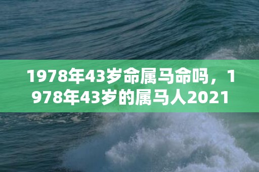 1978年43岁命属马命吗，1978年43岁的属马人2021年桃花多吗