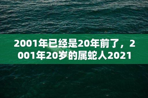 2001年已经是20年前了，2001年20岁的属蛇人2021年恋爱运怎么样