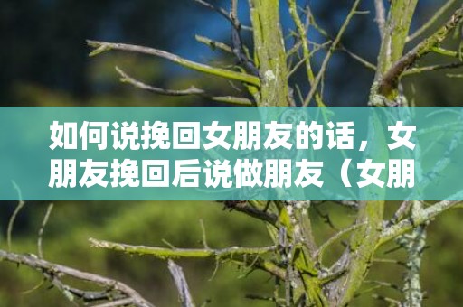 如何说挽回女朋友的话，女朋友挽回后说做朋友（女朋友提出做回朋友）