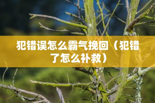 犯错误怎么霸气挽回（犯错了怎么补救）