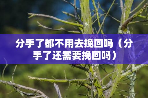 分手了都不用去挽回吗（分手了还需要挽回吗）