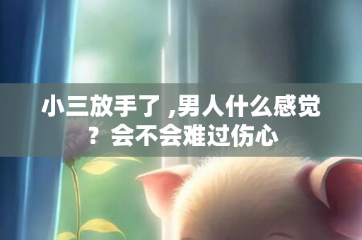 小三放手了 ,男人什么感觉？会不会难过伤心