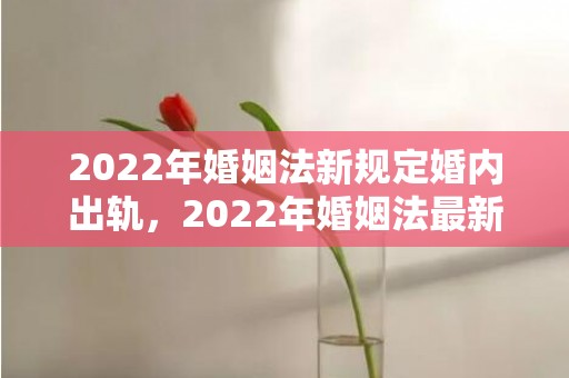 2022年婚姻法新规定婚内出轨，2022年婚姻法最新规定同居
