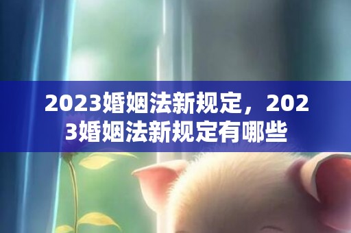 2023婚姻法新规定，2023婚姻法新规定有哪些