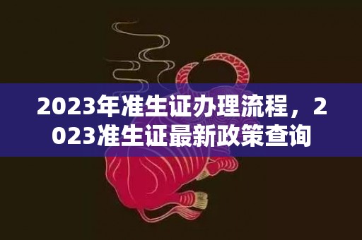 2023年准生证办理流程，2023准生证最新政策查询