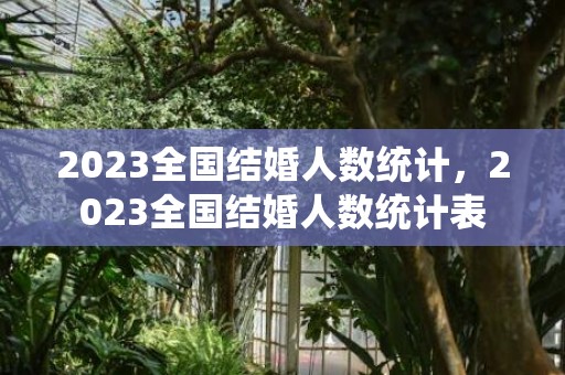 2023全国结婚人数统计，2023全国结婚人数统计表