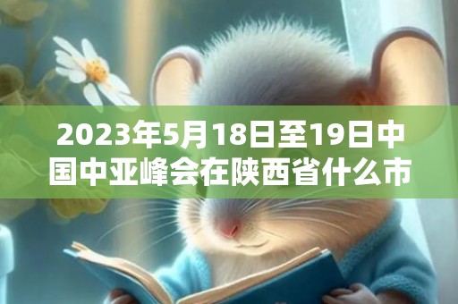 2023年5月18日至19日中国中亚峰会在陕西省什么市举行，2023年5月19日适合结婚吗