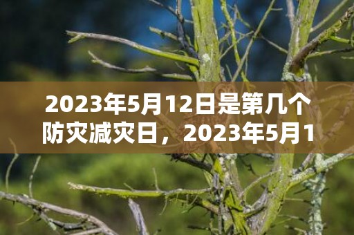2023年5月12日是第几个防灾减灾日，2023年5月16日日子好不好