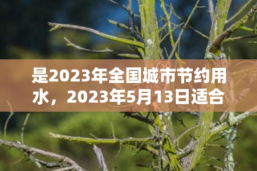 是2023年全国城市节约用水，2023年5月13日适合结婚吗