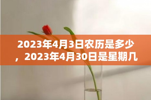 2023年4月3日农历是多少，2023年4月30日是星期几