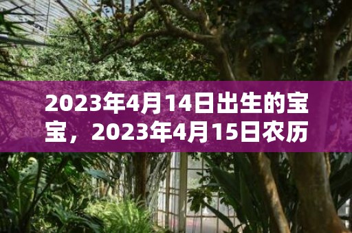 2023年4月14日出生的宝宝，2023年4月15日农历是多少