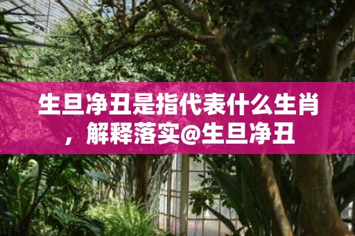 生旦净丑是指代表什么生肖，解释落实@生旦净丑