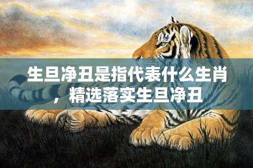 生旦净丑是指代表什么生肖，精选落实生旦净丑