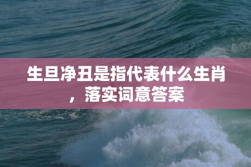 生旦净丑是指代表什么生肖，落实词意答案
