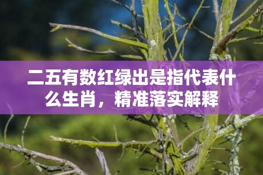 二五有数红绿出是指代表什么生肖，精准落实解释