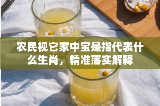 农民视它家中宝是指代表什么生肖，精准落实解释