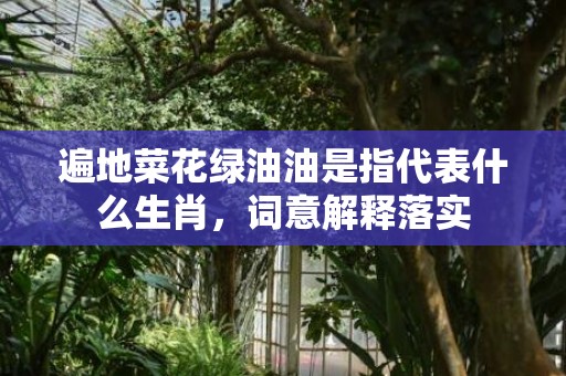 遍地菜花绿油油是指代表什么生肖，词意解释落实
