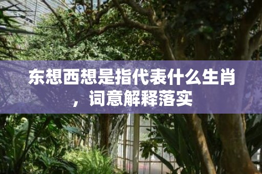 东想西想是指代表什么生肖，词意解释落实