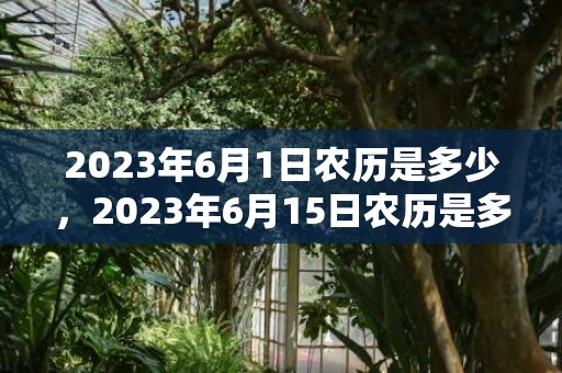 2023年6月1日农历是多少，2023年6月15日农历是多少