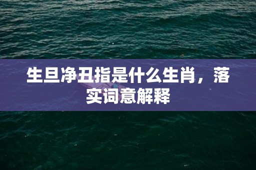 生旦净丑指是什么生肖，落实词意解释