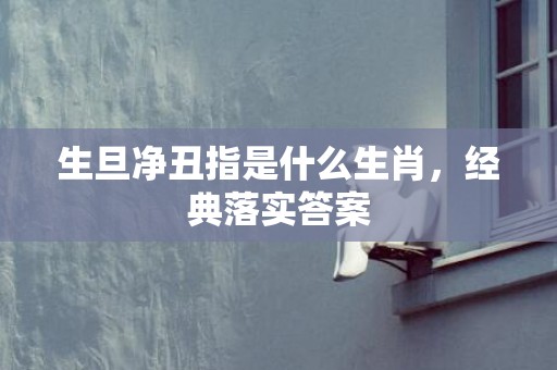 生旦净丑指是什么生肖，经典落实答案