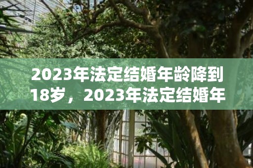2023年法定结婚年龄降到18岁，2023年法定结婚年龄查询表