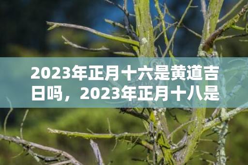 2023年正月十六是黄道吉日吗，2023年正月十八是几号