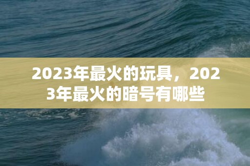2023年最火的玩具，2023年最火的暗号有哪些