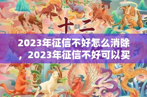 2023年征信不好怎么消除，2023年征信不好可以买房吗