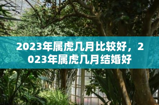 2023年属虎几月比较好，2023年属虎几月结婚好
