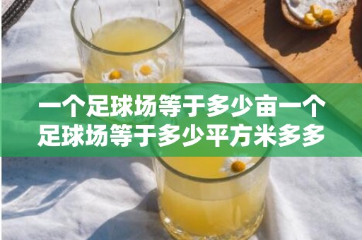 一个足球场等于多少亩一个足球场等于多少平方米多多，一个足球场面积多大平方米