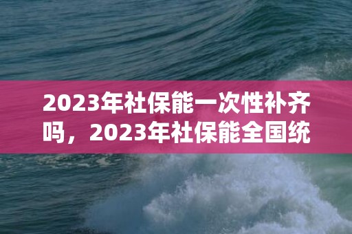 2023年社保能一次性补齐吗，2023年社保能全国统筹吗