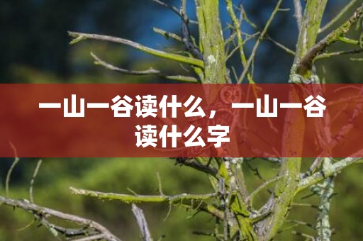一山一谷读什么，一山一谷读什么字